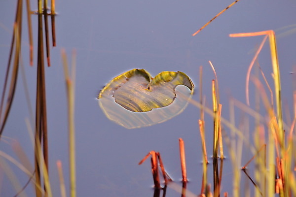 포토 JPG 해외이미지 사람없음 해외202004 해외포토 파일형식 이미지허브