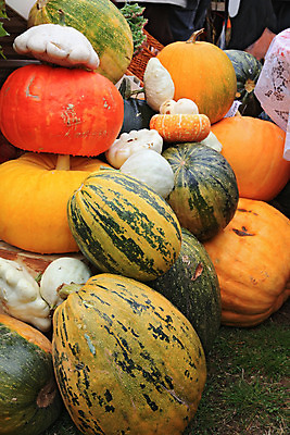 포토 JPG 해외이미지 음식 줄기 백그라운드 농업 채소 과일 재료 호박 프레임 건강 사람없음 초록색 빛 반사 우주 침묵 활발 할로윈 수확 종 가을 흰색 신선 그룹 변화 시장 브로콜리 수집 배열 먹기 허브 가득함 날것 슛 문학 흙더미 슈퍼마켓 멀티 숙성 여의주 해외202004 해외포토 식물 계절 산업 컬러 컨셉 모션 상점 소리 흙 파일형식 더미 이미지허브