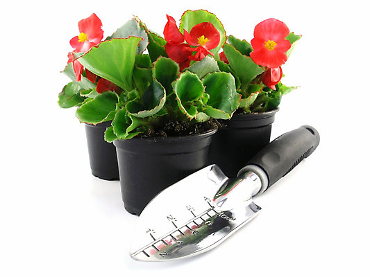 포토 JPG 해외이미지 식물 계절 꽃 잎 꽃무늬 사람없음 빨간색 초록색 컬러풀 정원 봄 벚꽃 공구 신선 냄비 삽 오브젝트 원예 갈퀴 고립 취급주의 해외202004 해외포토 컬러 무늬 경고 취미 도구 솥 파일형식 이미지허브