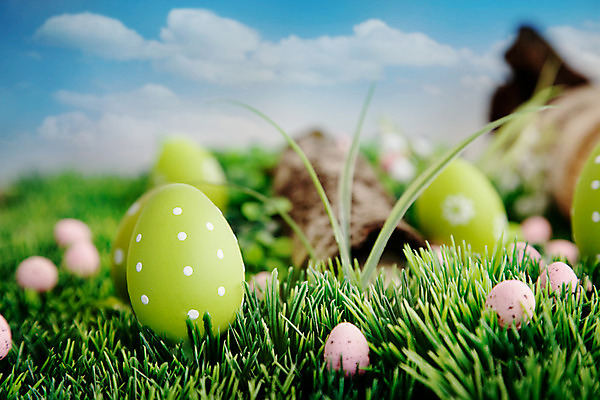 포토 JPG 해외이미지 나무 구름 디자인 계절 공원 꽃 백그라운드 컨셉 밭 오렌지 자연 하늘 휴가 부활절 병아리 풍경 사람없음 야외 목재 가로 초록색 파란색 컬러풀 태양 노란색 바구니 계란 페인트 봄 광선 흰색 축하 토끼 신선 그리기 4월 사냥 일반 카피스페이스 해외202004 해외포토 자연요소 식물 공공시설 기념일 컬러 농업 과일 재료 포유류 모션 조류 반려동물 알 공백 날짜 생태계 파일형식 이미지허브