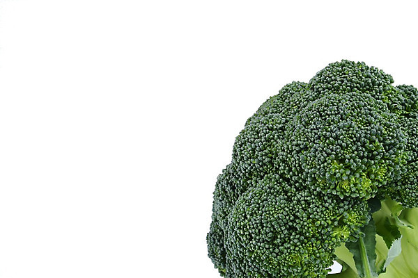 포토 JPG 해외이미지 음식 줄기 잎 다이어트 채소 건강 요리 사람없음 초록색 컬러풀 요식업 저녁식사 흰색 신선 최고 고명 몸무게 브로콜리 날씬함 유기농 날것 칼로리 섬유 성분 내추럴 점심식사 고립 식욕 적자 해외202004 해외포토 식물 웰빙 산업 컬러 식사 직물 몸매 파일형식 이미지허브