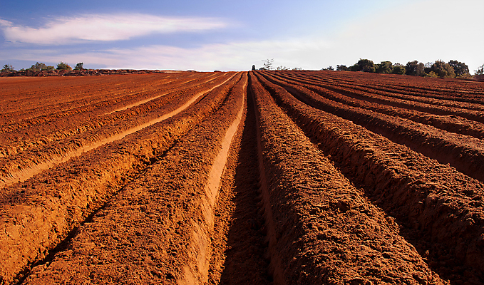 포토 JPG 해외이미지 나무 구름 계절 지구 백그라운드 농업 자연 하늘 씨앗 풍경 사람없음 야외 파란색 농장 흙 봄 가을 시골 신선 땅 만취 먼지 진흙 밭일 쟁기 줄서기 수평선 세련 해외202004 해외포토 자연요소 식물 산업 컬러 모션 생태계 술취함 파일형식 이미지허브
