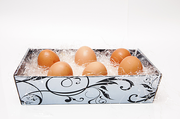 포토 JPG 해외이미지 모양 음식 백그라운드 농업 다이어트 자연 조류 아침 부활절 건강 사람없음 농장 갈색 노란색 바구니 식사 치킨 껍질 흰색 신선 그룹 플랫 아침식사 먹기 오브젝트 유기농 노른자 점심식사 고립 스크램블 암탉 해외202004 해외포토 주간 동물 웰빙 기념일 산업 컬러 모션 계란 닭 암컷 계란요리 생태계 닭고기요리 파일형식 이미지허브