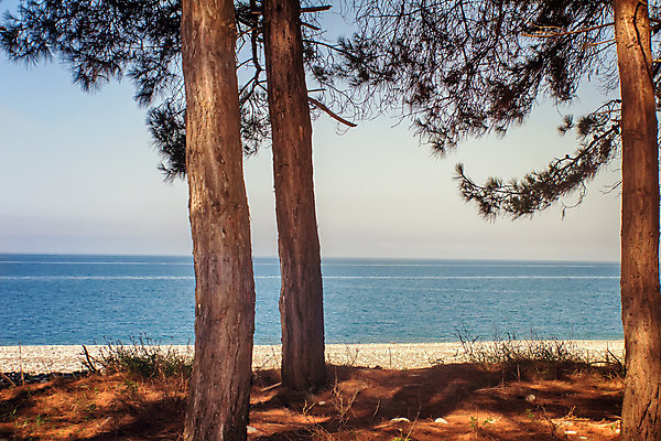 포토 JPG 해외이미지 나무 계절 모래 바다 섬 여행 자연 하늘 날씨 휴가 풍경 사람없음 물 여름 파란색 빛 조약돌 흰색 시골 소나무 뜨거움 손목시계 터키석 해외202004 해외포토 자연요소 식물 시계 컬러 장신구 돌_바위 보석 생태계 파일형식 이미지허브