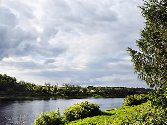 포토 JPG 해외이미지 나무 구름 자연 하늘 날씨 휴식 풍경 사람없음 목재 여름 강 태양 침묵 시골 습지 숲 순수 즐거움 변소 생태학 해외202004 해외포토 자연요소 식물 계절 교육 감정 컨셉 재료 소리 생태계 파일형식 이미지허브
