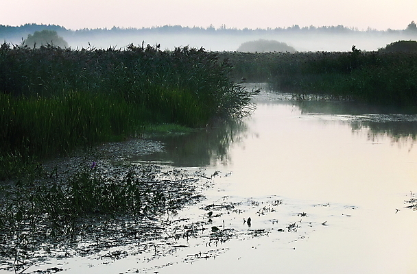 포토 JPG 해외이미지 나무 구름 밭 자연 지팡이 하늘 아침 날씨 휴식 갈대 풍경 사람없음 목재 태양 어둠 침묵 봄 안개 시골 저녁 숲 즐거움 생태학 해외202004 해외포토 주간 자연요소 식물 계절 교육 감정 컨셉 농업 재료 소리 야간 생태계 파일형식 이미지허브
