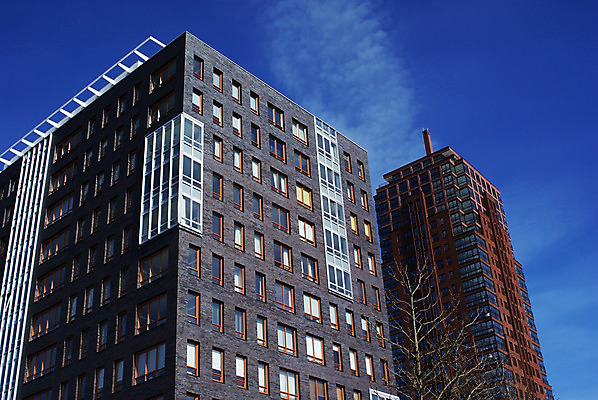 포토 JPG 해외이미지 나무 건축양식 창문 벽돌 주택 사람없음 건물 파란색 사무실 맑음 도시 작업실 큼 해외202004 해외포토 식물 건축물 건축 컬러 비즈니스 날씨 크기 파일형식 이미지허브