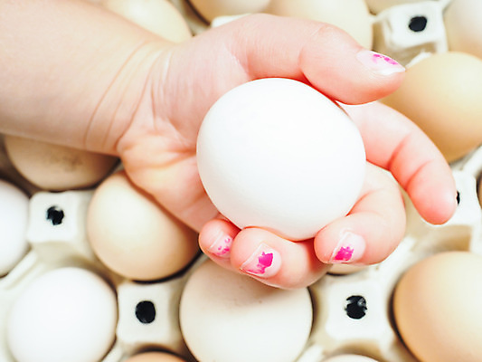 포토 JPG 해외이미지 모양 동물 손 어린이 음식 백그라운드 패턴 농업 다이어트 재료 부활절 쟁반 요리 사람 사람없음 농장 갈색 계란 식사 치킨 흰색 신선 잡기 그룹 닫기 맛 아침식사 작음 유기농 날것 패키지 단백질 생식 줄서기 취급주의 많음 해외202004 해외포토 웰빙 기념일 산업 컬러 컨셉 무늬 모션 건강 경고 신체부위 알 크기 닭고기요리 영양소 파일형식 이미지허브