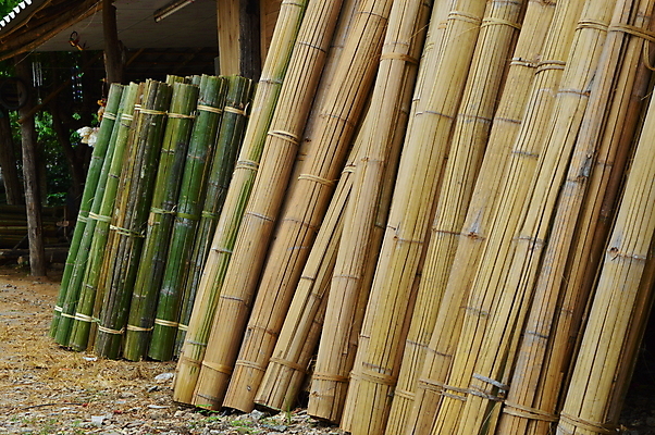 포토 JPG 해외이미지 전통 아시아 사람없음 초록색 세일 상점 매트 구매 대나무 내추럴 핸드메이드 해외202004 해외포토 나무 나라 컬러 쇼핑 파일형식 이미지허브