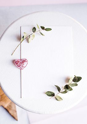 포토 JPG 해외이미지 꽃 종이 프레임 선물 사람없음 장미 나뭇가지 목업 해외202004 해외포토 나무 식물 파일형식 이미지허브