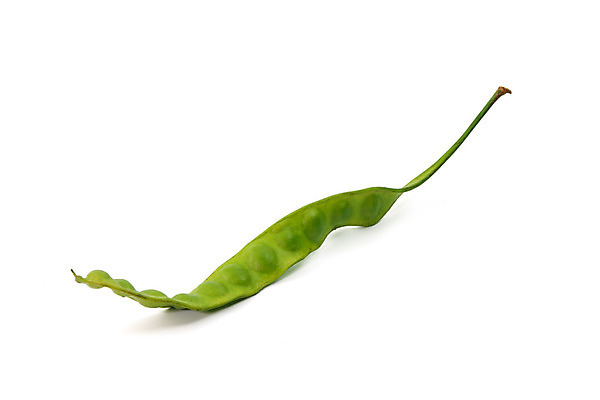 포토 JPG 해외이미지 음식 콩 사람없음 가로 초록색 신선 양념 허브 향신료 싱글 흰배경 꼬투리 해외202004 해외포토 식물 컬러 백그라운드 곡류 흰색 향미료 파일형식 이미지허브