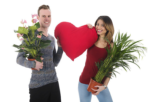 포토 JPG 해외이미지 식물 커플 행복 백그라운드 모션 주택 함께함 손바닥 사랑 서기 사람 소년 내부 두명 장식 빨간색 초록색 흰색 하트 냄비 진달래 고립 해외202004 해외포토 모양 손 남자 꽃 감정 어린이 컬러 컨셉 관계 건물 솥 파일형식 이미지허브