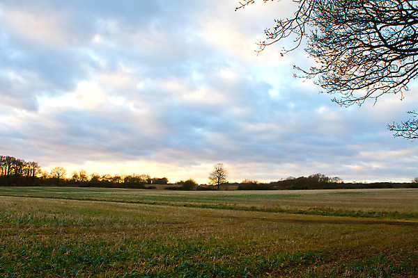 포토 JPG 해외이미지 나무 식물 구름 영어 계절 잎 자연 하늘 날씨 잉글랜드 풍경 사람없음 야외 초록색 여름 빛 농작물 컬러풀 햇빛 태양 계곡 황혼 일몰 봄 새벽 활발 절벽 수확 광선 시골 저녁 언덕 남쪽 내추럴 강렬 해외202004 해외포토 자연요소 문자 컬러 컨셉 농업 영국 노을 야간 방향 생태계 파일형식 이미지허브