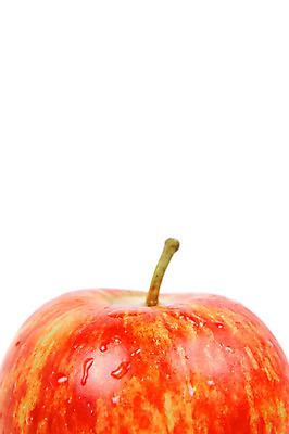 포토 JPG 해외이미지 음식 백그라운드 과일 사람없음 빨간색 흰색 신선 사과 고립 해외202004 해외포토 컬러 파일형식 이미지허브