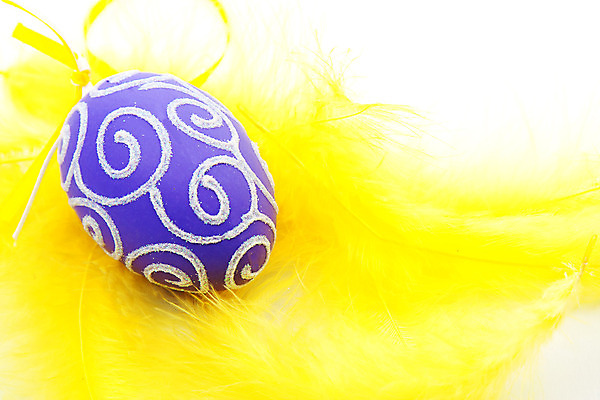 포토 JPG 해외이미지 계절 휴가 부활절 사람없음 장식 노란색 계란 보라색 축제 깃털 해외202004 해외포토 기념일 컬러 알 파일형식 이미지허브