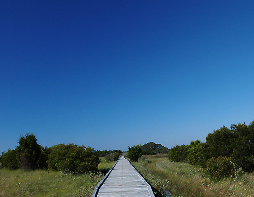 포토 JPG 해외이미지 나무 공원 길 자국 자연 풍경 사람없음 야외 초록색 산책 하이킹 습지 해외202004 해외포토 식물 공공시설 컬러 레저 휴식 생태계 파일형식 이미지허브