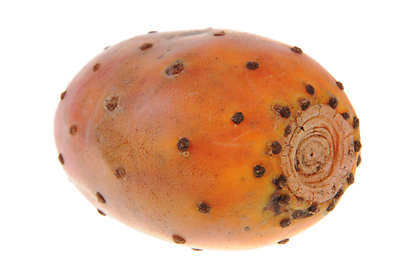 포토 JPG 해외이미지 식물 음식 다이어트 과일 재료 자연 디저트 선인장 건강 요리 사람없음 빨간색 컬러풀 사막 흰색 신선 가시 닫기 달콤 인도인 묘사 유기농 날것 날카로움 무화과 내추럴 고립 숙성 식용 이국적 해외202004 해외포토 외국인 웰빙 컬러 모션 동양인 맛 생태계 파일형식 이미지허브