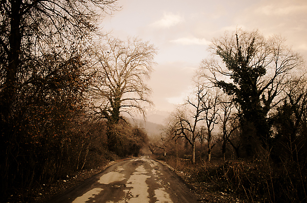 포토 JPG 해외이미지 나무 식물 계절 공원 도로 길 선 여행 백그라운드 잎 자연 하늘 아침 풍경 사람없음 야외 목재 파란색 빛 햇빛 태양 환경 맑음 회색 안개 가을 시골 신선 숲 아스팔트 장면 내추럴 방법 아제르바이잔 옛날 해외202004 해외포토 주간 자연요소 공공시설 나라 컬러 재료 교통시설 날씨 생태계 파일형식 이미지허브