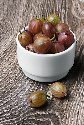 포토 JPG 해외이미지 열매 음식 백그라운드 다이어트 과일 자연 디저트 건강 식이요법 사람없음 목재 식사 수확 그룹 달콤 맛 상품 잼 먹기 향기 아로마 구스베리 숙성 신맛 채식주의자 해외202004 해외포토 나무 식물 컨셉 농업 재료 모션 소스_음식 생태계 채식 냄새 파일형식 이미지허브