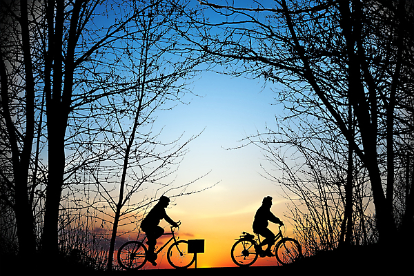 포토 JPG 해외이미지 전신 실루엣 휴식 함께함 성인 야외 두명 햇빛 자전거 일몰 승차 숲 성인만 해외202004 해외포토 컨셉 모션 촬영기법 사람 태양 노을 바이크 파일형식 이미지허브