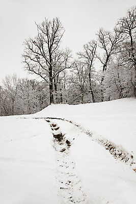 포토 JPG 해외이미지 나무 식물 계절 공원 도로 여행 겨울 교통시설 자국 자동차 자연 하늘 날씨 풍경 사람없음 야외 가로 파란색 햇빛 태양 맑음 냉동 얼음 일몰 추위 자유 흰색 시골 고속도로 숲 아스팔트 12월 서리 짐차 자작나무 1월 방법 겨울풍경 해외202004 해외포토 자연요소 공공시설 길 육상교통 컬러 교통 컨셉 노을 날짜 시설 생태계 파일형식 이미지허브