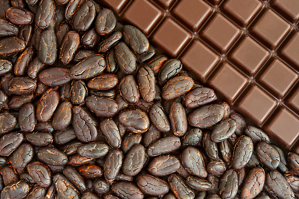 포토 JPG 해외이미지 식물 백인 음식 백그라운드 농업 다이어트 과일 재료 자연 디저트 콩 건강 사탕 요리 씨앗 사람없음 알약 갈색 초콜릿 어둠 블록 에너지 바 달콤 맛 설탕 굽기 먹기 묘사 날것 영양 칼로리 코코아 중독 내추럴 마다가스카르 카카오 탄수화물 해외202004 해외포토 서양인 산업 음료 컬러 컨셉 모션 곡류 약 구이 생태계 파일형식 이미지허브