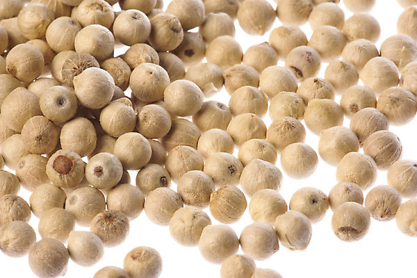 포토 JPG 해외이미지 식물 음식 농업 채소 재료 자연 피망 파프리카 건조 건강 요리 씨앗 사람없음 흰색 뜨거움 양념 닫기 맛 낟알 먹기 허브 향신료 묘사 유기농 매움 날것 향료 향 후추 성분 내추럴 고립 식용 채식주의자 해외202004 해외포토 웰빙 산업 컬러 컨셉 모션 생태계 채식 향기 냄새 향미료 파일형식 이미지허브