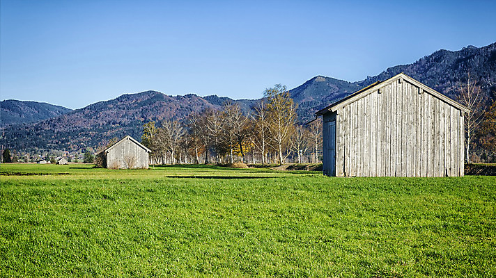 포토 JPG 해외이미지 나무 구름 유럽 여행 백그라운드 잎 밭 오렌지 자연 하늘 산 주택 독일 파노라마 풍경 사람없음 야외 초록색 파란색 노란색 가을 시골 숲 땅 알프스 10월 바이에른 수평선 해외202004 해외포토 자연요소 식물 계절 나라 컬러 농업 과일 촬영기법 건물 날짜 생태계 파일형식 이미지허브
