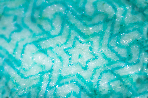 포토 JPG 해외이미지 모양 디자인 배너 파도 백그라운드 컨셉 돈 패턴 일러스트 표면 추상 현미경 미술 사람없음 그래픽 파란색 줄무늬 흰색 직물 플랫 닫기 확대 실크 아래 심볼 묘사 사인 질감 캔버스 층 계산서 그런지 이스라엘 해외202004 해외포토 바다 컬러 무늬 모션 문화예술 실험기구 재산 방향 위치 서아시아 파일형식 이미지허브