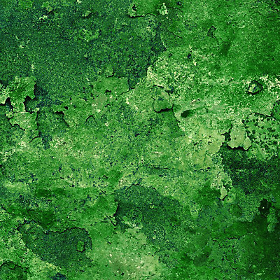 포토 JPG 해외이미지 벽 분홍색 패턴 자연 벽지 표면 바닥 사람없음 초록색 주방 바위 우아함 계산대 타일 묘사 질감 캔버스 대리석 효과 해외202004 해외포토 컬러 컨셉 무늬 재료 돌_바위 생태계 파일형식 이미지허브