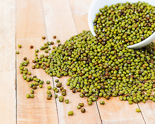 포토 JPG 해외이미지 식물 농업 다이어트 채소 재료 자연 디저트 콩 건조 건강 요리 씨앗 동양인 사람없음 초록색 쌓기 새싹 중국 성장 신선 달콤 수프 낟알 유기농 날것 보리 강낭콩 흙더미 내추럴 대두 생식 작살 채식주의자 비건 해외202004 해외포토 웰빙 산업 아시아 음식 컬러 모션 곡류 인종 흙 맛 생태계 채식 파일형식 더미 이미지허브