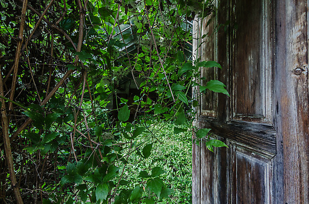 포토 JPG 해외이미지 벽 건축양식 창문 주택 이야기 사람없음 건물 탐험 역사 빌라 천연기념물 발견 떠남 무인 옛날 파멸 해외202004 해외포토 건축물 건축 컨셉 모션 파일형식 소멸 이미지허브