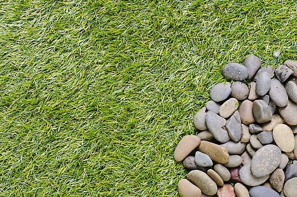 포토 JPG 해외이미지 모양 디자인 공원 백그라운드 패턴 자연 표면 추상 바닥 사람없음 야외 초록색 정원 회색 보행로 작음 타일 질감 내추럴 땅바닥 해외202004 해외포토 공공시설 길 컬러 무늬 크기 생태계 파일형식 이미지허브