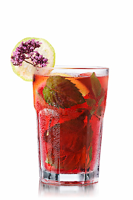 포토 JPG 해외이미지 음료 잎 유리 딸기 사람없음 빨간색 추위 흰색 칵테일 민트 라임 고립 모히토 오레가노 해외202004 해외포토 식물 컬러 과일 재질 주류 허브 파일형식 이미지허브