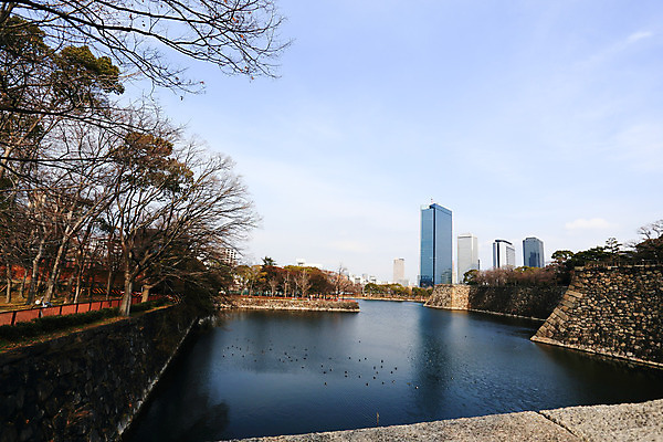 포토 JPG 해외이미지 벽 자연 이끼 사람없음 야외 가로 물 파란색 일본 바위 가득함 강화 옛날 오사카 카피스페이스 해외202004 해외포토 자연요소 아시아 컬러 공백 돌_바위 생태계 파일형식 이미지허브