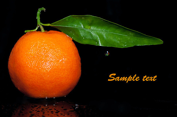 포토 JPG 해외이미지 음식 백그라운드 잎 다이어트 오렌지 과일 부분 귤 건강 사람없음 초록색 노란색 검은색 식사 신선 그룹 자르기 유기농 내추럴 고립 숙성 채식주의자 해외202004 해외포토 식물 웰빙 컬러 모션 채식 파일형식 이미지허브