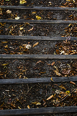 포토 JPG 해외이미지 계절 백그라운드 잎 오렌지 자연 추상 사람없음 야외 목재 컬러풀 갈색 노란색 계단 가을 황금 단계 갈색배경 해외202004 해외포토 나무 식물 컬러 무늬 과일 재료 생태계 파일형식 이미지허브