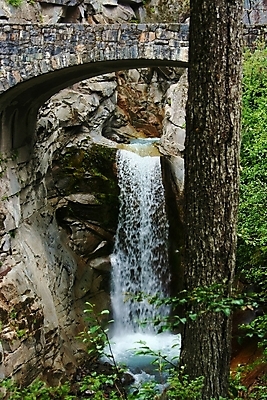 포토 JPG 해외이미지 나무 자연 사람없음 야외 물 폭포 흐름 떨어짐 내추럴 해외202004 해외포토 자연요소 식물 컨셉 생태계 파일형식 이미지허브