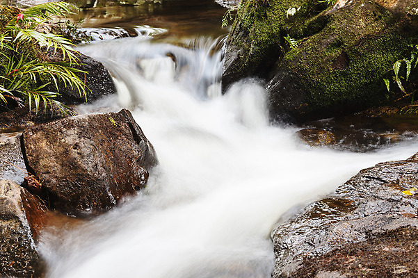 포토 JPG 해외이미지 나무 식물 공원 백그라운드 잎 모션 태국 자연 휴가 휴식 풍경 사람없음 목재 초록색 물 강 놀람 봄 활발 폭포 젖음 흐름 성장 가을 신선 개울 숲 시원함 순수 즐거움 천국 이국적 파라다이스 해외202004 해외포토 자연요소 계절 공공시설 감정 아시아 컬러 컨셉 재료 표정 생태계 파일형식 이미지허브