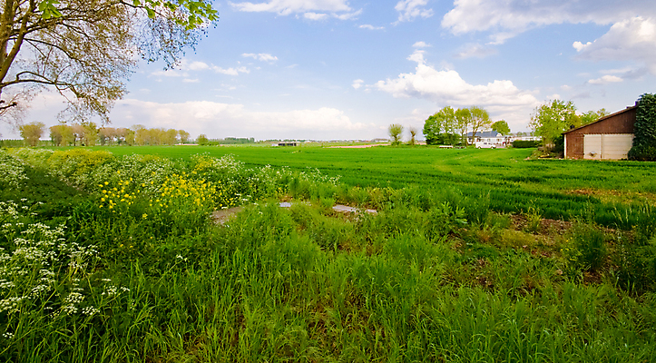 포토 JPG 해외이미지 식물 구름 백그라운드 밭 농업 자연 휴식 풍경 잔디 사람없음 야외 초록색 파란색 농장 농경지 평화 환경 침묵 시골 수평선 해외202004 해외포토 자연요소 산업 컬러 컨셉 소리 생태계 파일형식 이미지허브