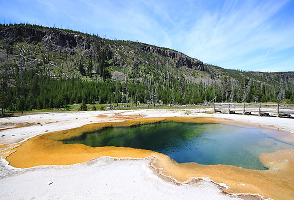 포토 JPG 해외이미지 나무 공원 사람없음 물 봄 뜨거움 수증기 언덕 화산 분화구 전국 지열 지질학 해외202004 해외포토 자연요소 식물 계절 공공시설 교육 산 파일형식 이미지허브