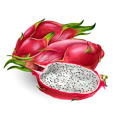 포토 JPG 해외이미지 과일 일러스트 사람없음 용과 해외202004 해외포토 파일형식 이미지허브