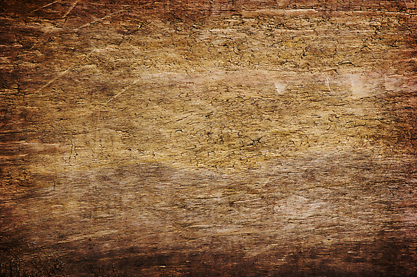 포토 JPG 해외이미지 백그라운드 패턴 사람없음 목재 수확 사인 유기농 질감 복고 내추럴 옛날 해외202004 해외포토 나무 웰빙 무늬 농업 재료 파일형식 이미지허브