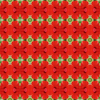 포토 JPG 해외이미지 식물 계절 꽃잎 꽃 백그라운드 잎 꽃무늬 패턴 자연 벽지 추상 사람없음 빨간색 초록색 컬러풀 성장 벚꽃 개화 관목 즐거움 원예 꽃가루 상록수 내추럴 꽃수술 하와이인 히비스커스 해외202004 해외포토 외국인 나무 감정 컬러 무늬 취미 가루 생태계 파일형식 이미지허브