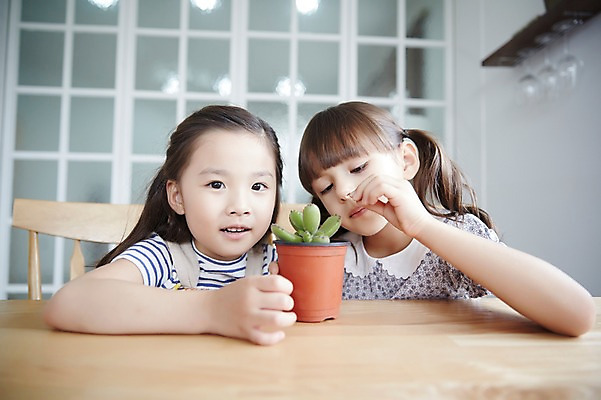 포토 JPG 외국인 여자 화분 선인장 실내 앉기 상반신 두명 앞모습 친구 유치원생 한국인 집중 호기심 소녀만 국내포토 식물 감정 어린이 뷰포인트 컨셉 관계 모션 사람 동양인 인종 내부 여자만 어린이만 파일형식