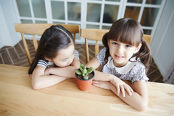 포토 JPG 외국인 여자 화분 선인장 실내 앉기 상반신 두명 앞모습 친구 유치원생 한국인 집중 호기심 소녀만 국내포토 식물 감정 어린이 뷰포인트 컨셉 관계 모션 사람 동양인 인종 내부 여자만 어린이만 파일형식