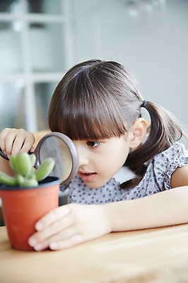 포토 JPG 외국인 여자 화분 돋보기 선인장 실내 한명 상반신 유치원생 관찰 집중 호기심 소녀한명만 국내포토 식물 1 감정 어린이 컨셉 모션 사람 인종 내부 여자한명만 소녀만 파일형식