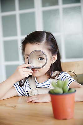 포토 JPG 여자 화분 돋보기 선인장 실내 한명 상반신 유치원생 한국인 관찰 집중 호기심 소녀한명만 국내포토 식물 1 감정 어린이 컨셉 모션 사람 동양인 내부 여자한명만 소녀만 파일형식