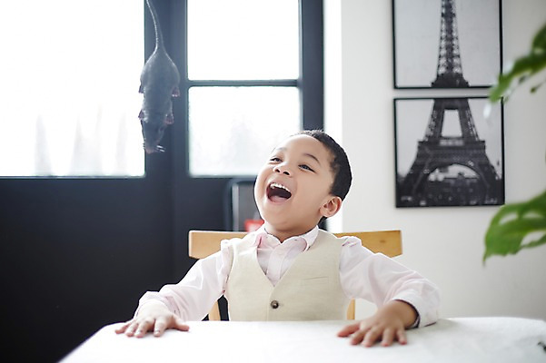 포토 JPG 외국인 남자 흑인 장난 실내 한명 상반신 앞모습 장난감 놀람 유치원생 쥐 무서움 당황 소년한명만 국내포토 서양인 1 감정 어린이 뷰포인트 표정 사람 인종 내부 설치류 남자한명만 소년만 파일형식