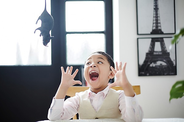 포토 JPG 외국인 남자 흑인 장난 실내 한명 상반신 앞모습 장난감 놀람 유치원생 쥐 무서움 당황 소년한명만 국내포토 서양인 1 감정 어린이 뷰포인트 표정 사람 인종 내부 설치류 남자한명만 소년만 파일형식